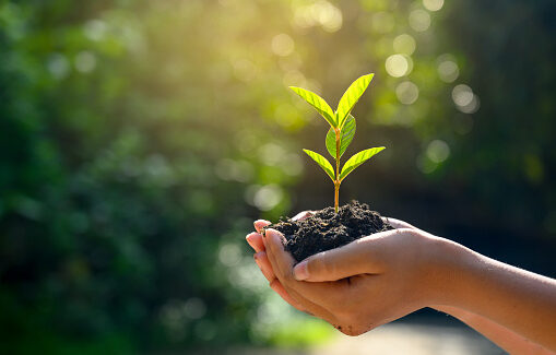 United World Project #DaretoCare – DurfZorgDragen voor de anderen en voor de planeet