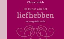 Livres en néerlandais en promotion