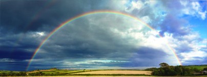 L’écologie intégrale dans le monde actuel