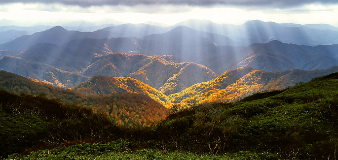 Parole de Vie – juin 2022