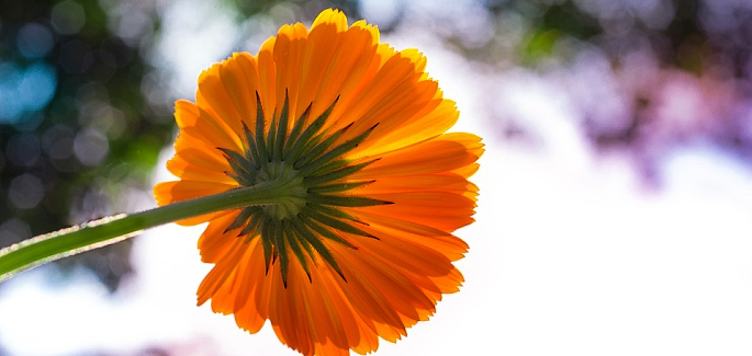 Parole de Vie – juillet 2022