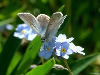 Parole de vie – juin 2023