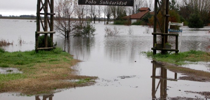 Solidaridad con el “Polo Solidaridad”
