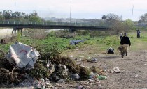 Córdoba: limpieza de la costanera del río Suquía