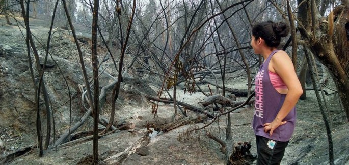 Relatos entre el blanco y negro desde Chile color fuego