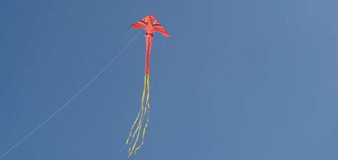 Volar bien alto
