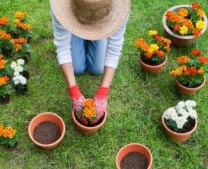consejos-macetas-jardineria