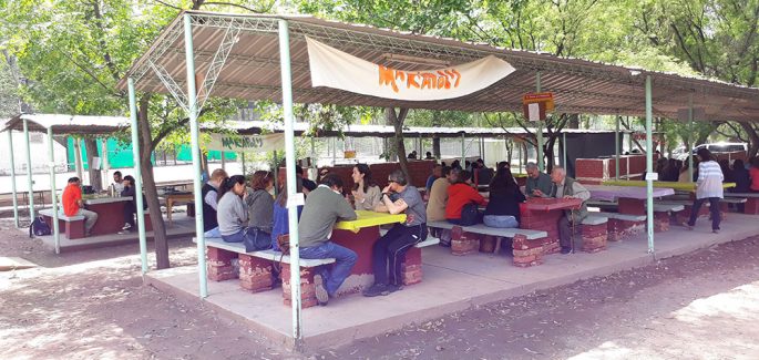 En Mendoza una “Mariápolis urbana”