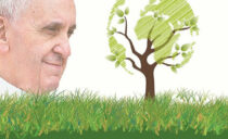 El Papa al Congreso de EcoOne