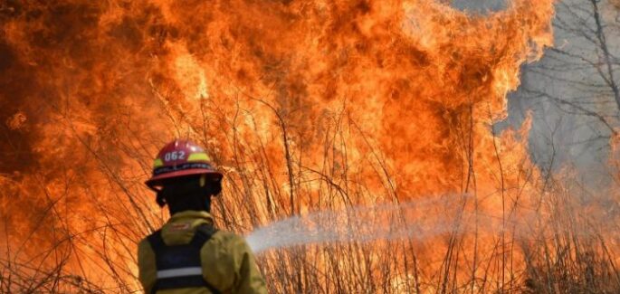 Donde hubo fuego… crece la fraternidad