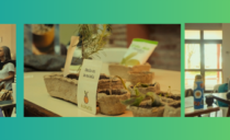 ECOFERIA: UN TEJIDO DE VOCES, PROYECTOS Y ESPERANZA