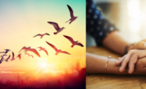 Palabra de Vida – Junio 2026
