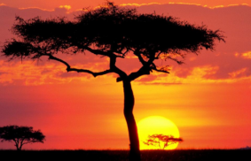 The antidote for forgiveness