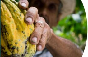 Laudato Sì: Economía Ecológica