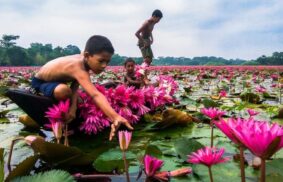 Piattaforma Laudato si’: Dio sceglie i più piccoli per cambiare il mondo