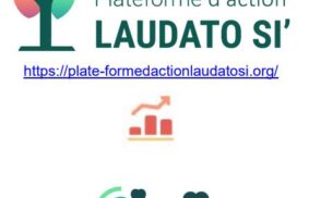 Reflexión sobre los objetivos de Laudato Si’