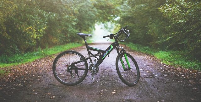 Glimpses of Gospel Life – A Special Bicycle