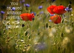 July Word of Life