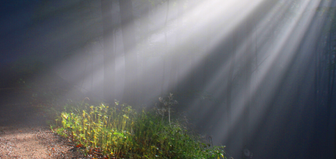 Making the Resurrection an experience of the people