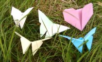 Wings of Peace 2020