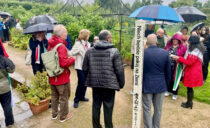 Peace Vigil in Chorley