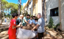 Lebanon: doors open to displaced people