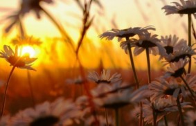 いのちの言葉　3月