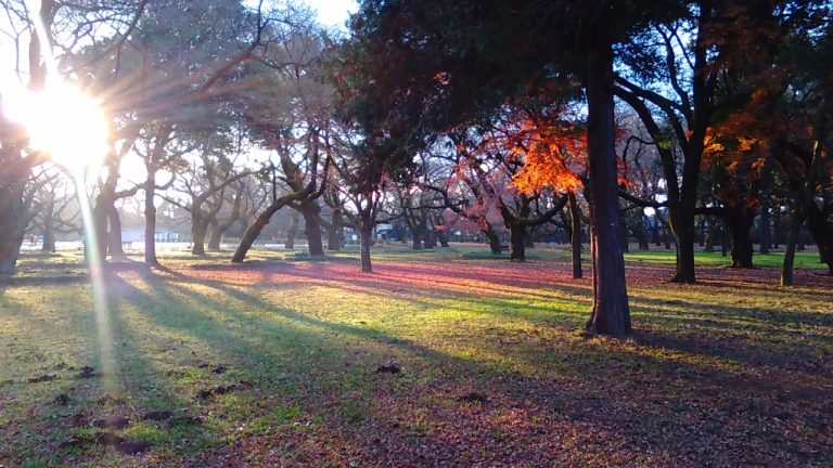 アフリカの王女が電気のない人々に光をもたらす取り組みを立ち上げる