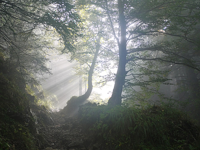 いのちの言葉 2019年3月