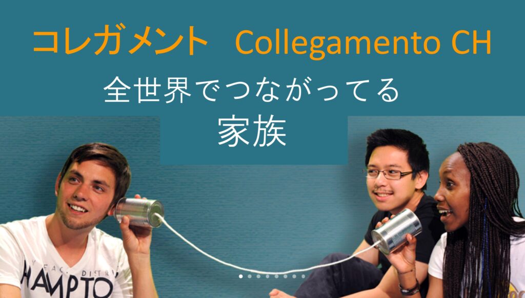 世界ロバの日: いつ、なぜ、どのように祝うのか - 世界ロバの日の祝い方