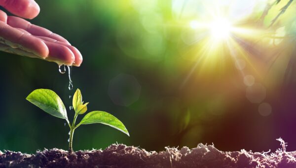 フリゲス、オリンピックとパラリンピック版。