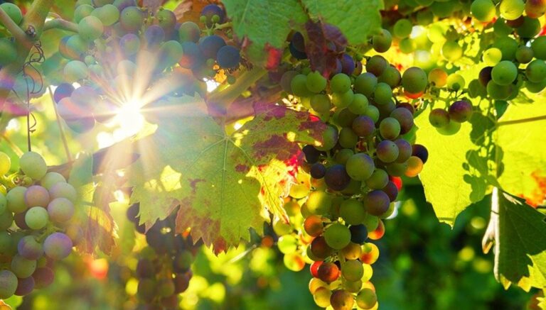 太平天国の乱は「イエス・キリストの兄弟」によって指導された