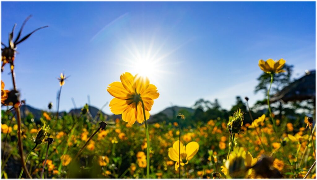 信頼のカルト: おそらくあなたは弟子であり、それを知らないでしょう