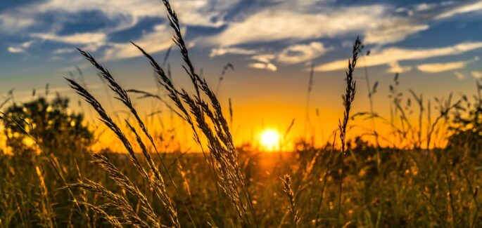 いのちの言葉2024年6月