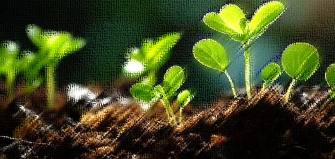 いのちの言葉2025年4月