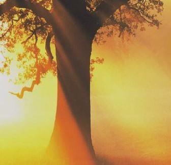 Powrót do korzeni – sylwetki współzałożycieli Chiara Lubich i Igino Giordani (Katowice)