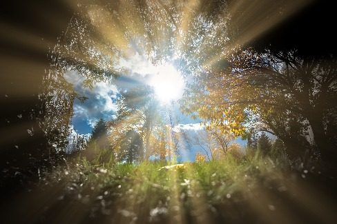 Każdy na swoim promieniu, razem ku słońcu