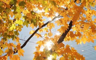 Reč života – novembar 2016.