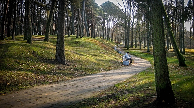 Appello per la Natura e l’Umanità