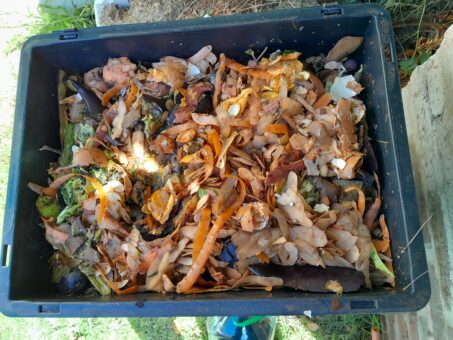 Le compostage : la magie de la nature