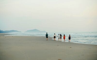 Companheiros de viagem confiáveis