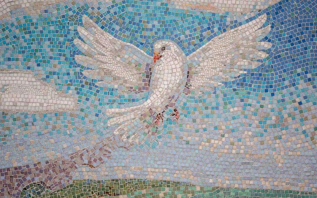 7 de octubre de 2024: jornada de oración y ayuno para implorar la paz en el mundo