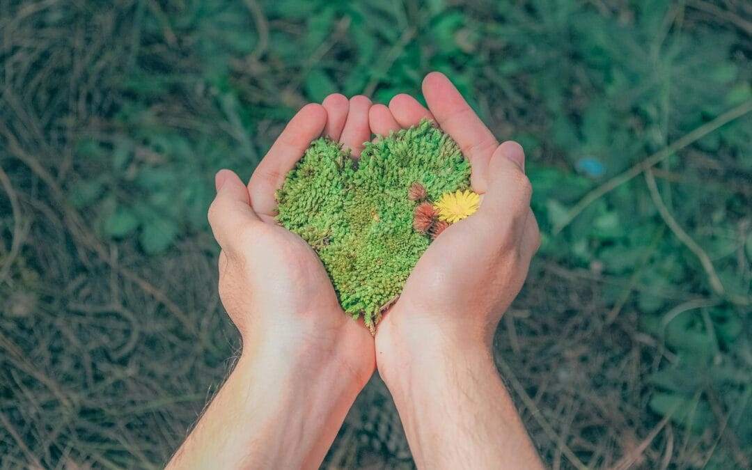 Tempo del creato, tempo di speranza