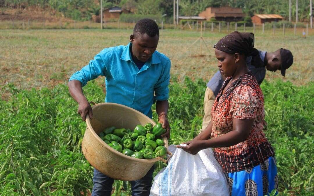 They all gave out of their wealth; but she, out of her poverty, put in everything – all she had to live on. (Mk. 12:44)