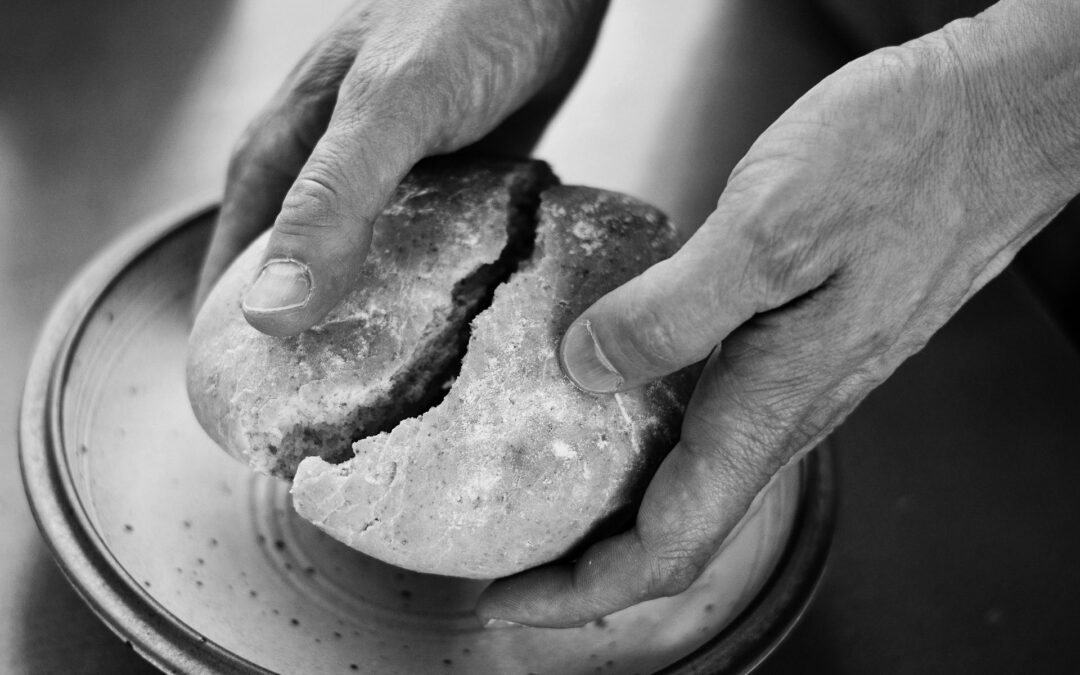 You give them something to eat (Lk. 9:13).