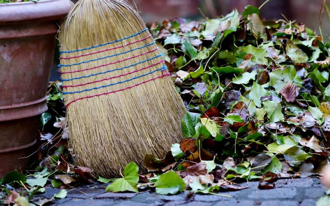 Évangile vécu : « Mon secours vient du Seigneur qui a fait le ciel et la terre ».