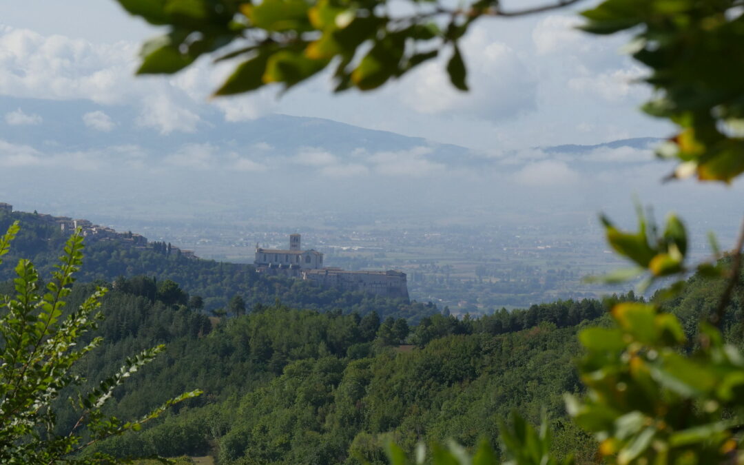 Assisi chiama i volontari