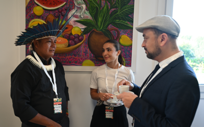 Experimentar a unidade