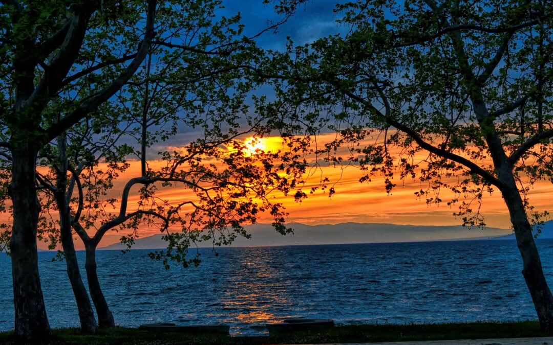 «Un solo corpo e un solo spirito, come una sola è la speranza alla quale siete stati chiamati, quella della vostra vocazione» (Ef 4,4).