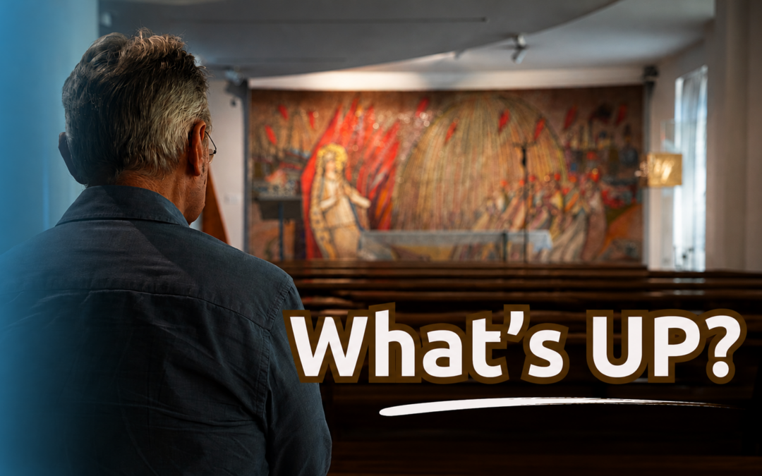 What’s UP? Il viaggio continua